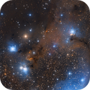 IC 446 - The Coyote Cloud wide field, Brian Diaz