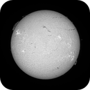 Sun FD in H-Alpha 10th of July 2025, Arne Danielsen