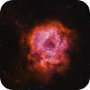 Rosette Nebula, Bozo