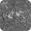 Sun H-alpha: Chromosphere 27.04.2025, Olegs_Astrophotography