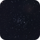 Beehive Cluster, Bozo