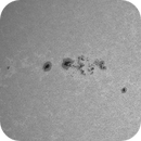 Sun Calcium 393.4 nm 15.06.2025, Olegs_Astrophotography