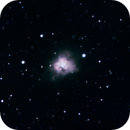 CED 92 SHO, Peter Bresler