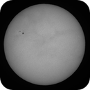 Whole Sun in WL with AR4087, May 16th, 2025, Michael von Berner-Purgstall