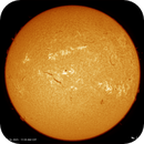 Sun - 3/16/2025, Damien Cannane