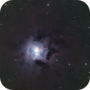 NGC 7023  Iris Nebula, Thomas J Schmidtkunz
