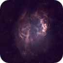 Lower's Nebula, Catherine Ryan Hyde