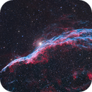 NGC 6960 -  The Witch's Broom Nebula, CrestwoodSky