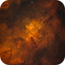 Melotte 15 (Heart of the Heart) v2, Janis