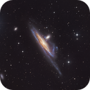 Haley's Coronet - NGC1532, Daniel Carter