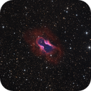 CVMP 1, Patrick Winkler