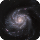 M101, Olaf Fritsche