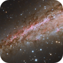 The Tweezers Galaxy, DiscoDuck