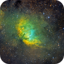 SH2-101 Tulip Nebula - Cygnus X-1 SHO, Hunter Outten