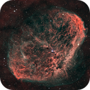 The Crescent Nebula, WR 136 (NGC 6888), Scott Schneider