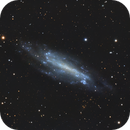 NGC 4236 / Caldwell 3, Jan Erik Vallestad
