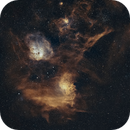 Flaming Star, Tadpoles, Spider Nebulae (135mm), Andrew Whiter