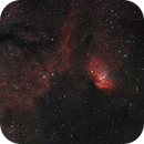 SH2 - 101, The Tulip Nebula, Robert Fidler