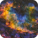 VDB 130 - The Cygnus Shrimp, Steven "Nøkk" Song