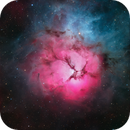 M20 Trifid Nebula, Henry Xu