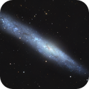 NGC 55 - The String Of Pearls Galaxy - OSC RGB, Ryan Benbow