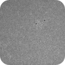 Sun Calcium 393.4 nm 06.06.2025, Olegs_Astrophotography