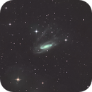 NGC3981, Anne-Maree McComb
