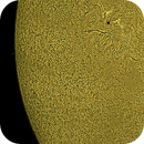 Solar Surface, Bozo