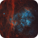Sh2-115 & Sh2-116 (2025), Kurt Zeppetello