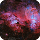 NGC3576 | THE STATUE OF LIBERTY NEBULA COMPLEX | LRGB HOO | 1134mm, Thomas ArtOfPix Großschmidt