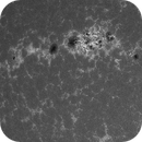 Sun Calcium 393.4 nm 15.06.2025, Olegs_Astrophotography