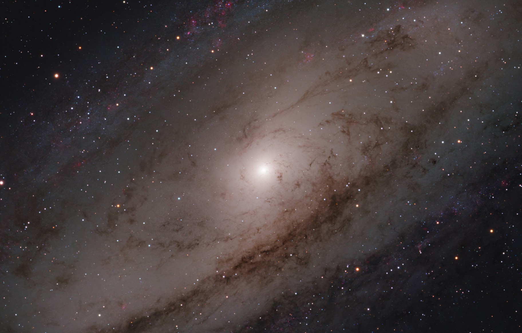 M31
