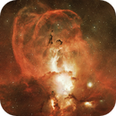 NGC 3576 - Statue of Liberty Nebula - OSC, Udo Heurich