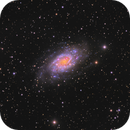 NGC2403 Galaxy, Mark Eby