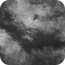 IC1318 - 2 h only in Halpha, Full moon, Bortle 5, no calibration frames, Klaus Haaken
