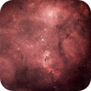 IC 1396, the Elephant Trunk, Catherine Ryan Hyde