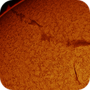 solar filament in h-alpha taken 21062025, nonsens2