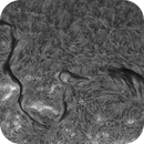 Sun H-alpha: Chromosphere 27.04.2025, Olegs_Astrophotography