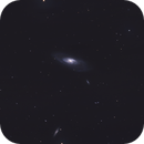 M106 and a few surrounding galaxies, Catherine Ryan Hyde