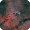 The Elephant's Trunk and surroundings / IC 1396, Francesco