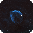 Dolphin Head Nebula - SH2-308, The East Coast Astronomer (Brian)
