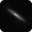 NGC 253 - Sculptor Galaxy, Dhaval Brahmbhatt