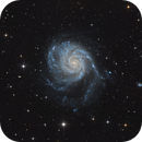 M 101 with 10 Zoll, Mario Richter