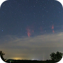 Sprites, Tyler Schlitt
