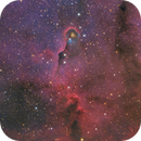 IC 1396 and surrounding nebulosity, Colm O'Dwyer