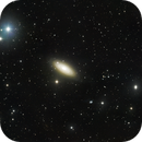 NGC 2841, Nikolay Bochev