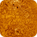AR4099 - AR4100 - 01.06.2025 (2 panel mosaic), Almos Balasi