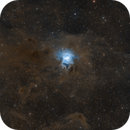 The Iris Nebula NGC7023, MartinBaker@1848