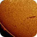 solar filament in h-alpha taken 21062025, nonsens2