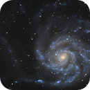 The Pinwheel Galaxy, Gabriel Wiklund